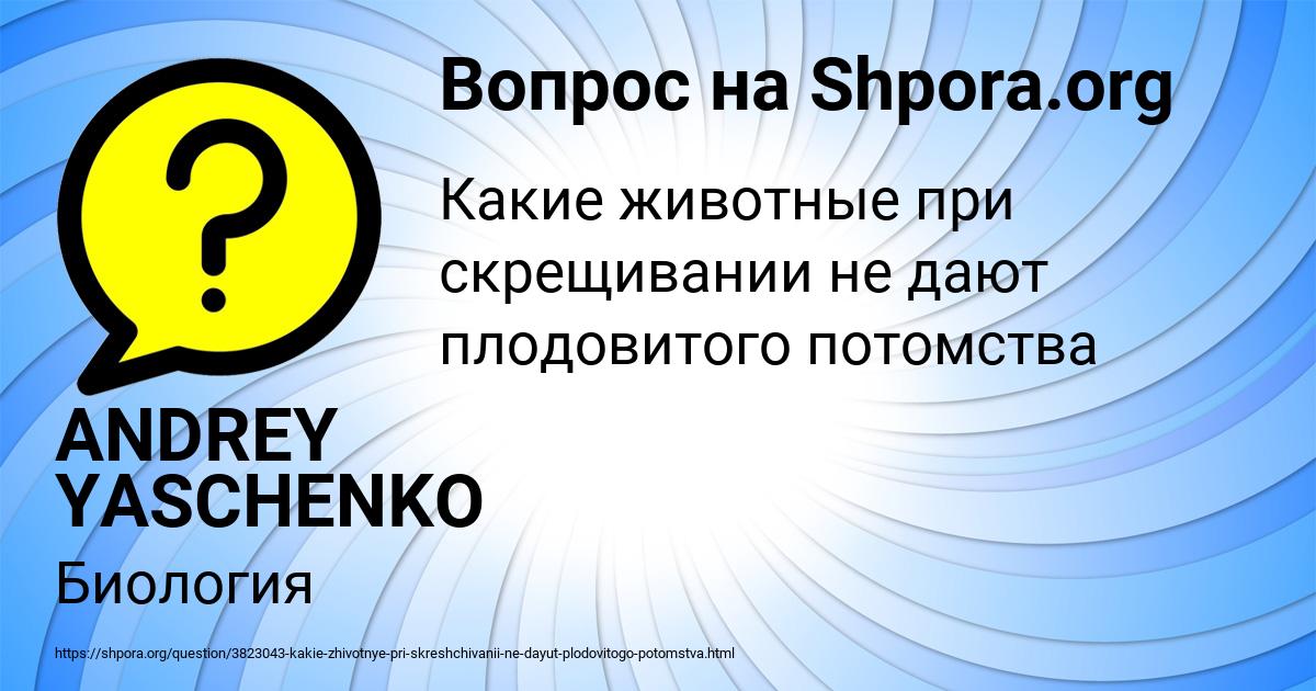 Картинка с текстом вопроса от пользователя ANDREY YASCHENKO