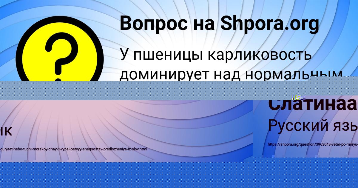 Картинка с текстом вопроса от пользователя Alena Aksenova