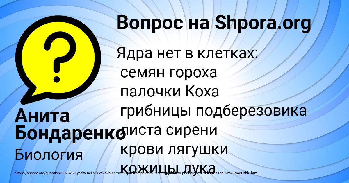 Картинка с текстом вопроса от пользователя Анита Бондаренко