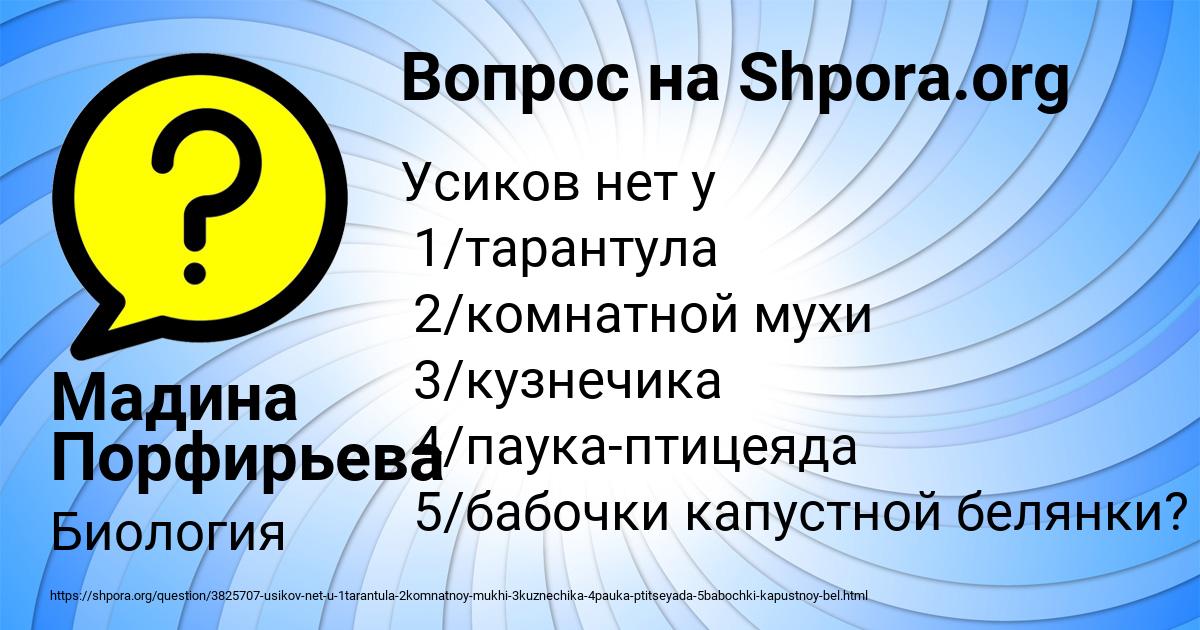 Картинка с текстом вопроса от пользователя Мадина Порфирьева
