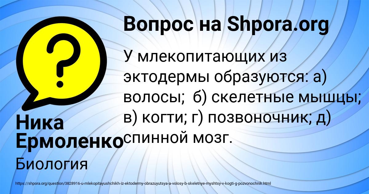 Картинка с текстом вопроса от пользователя Ника Ермоленко