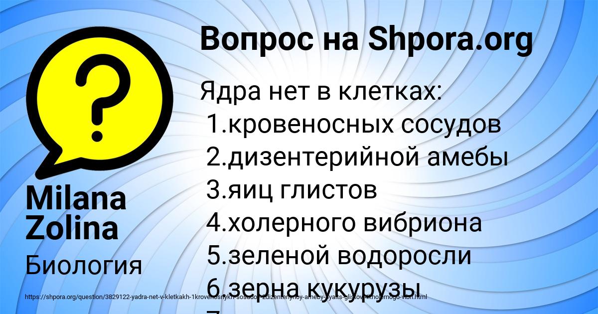 Картинка с текстом вопроса от пользователя Milana Zolina