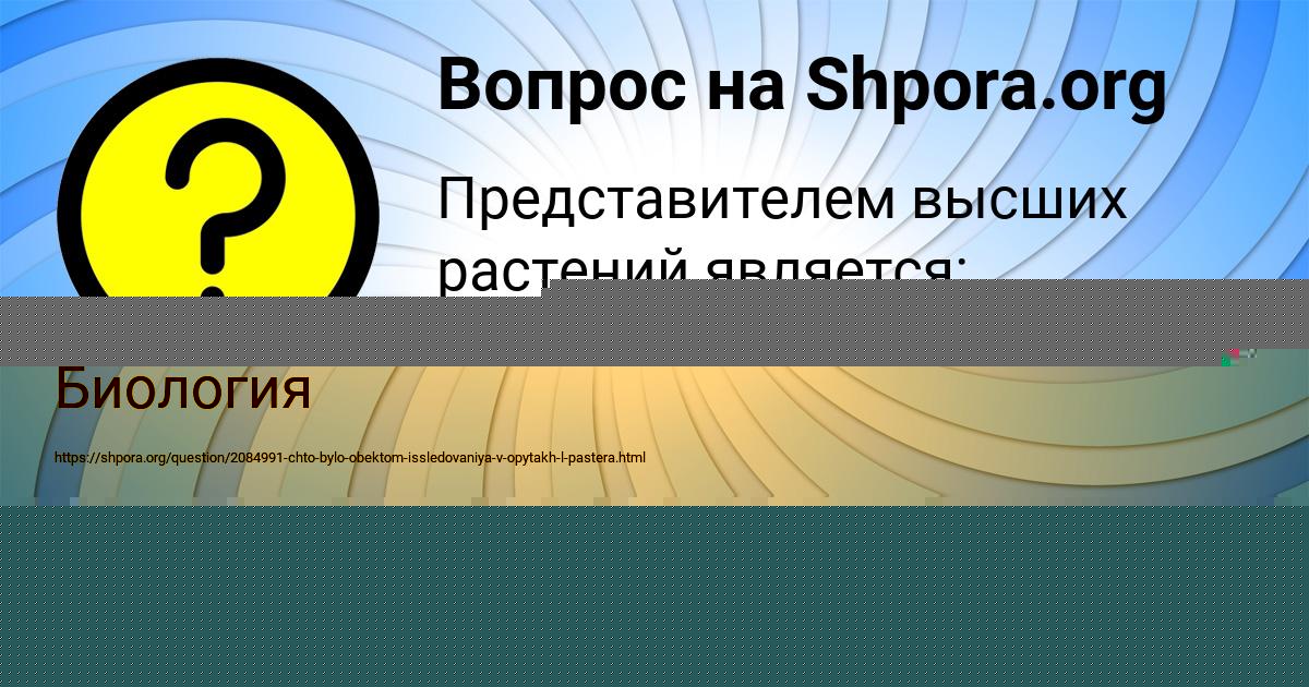 Картинка с текстом вопроса от пользователя Ира Бульба