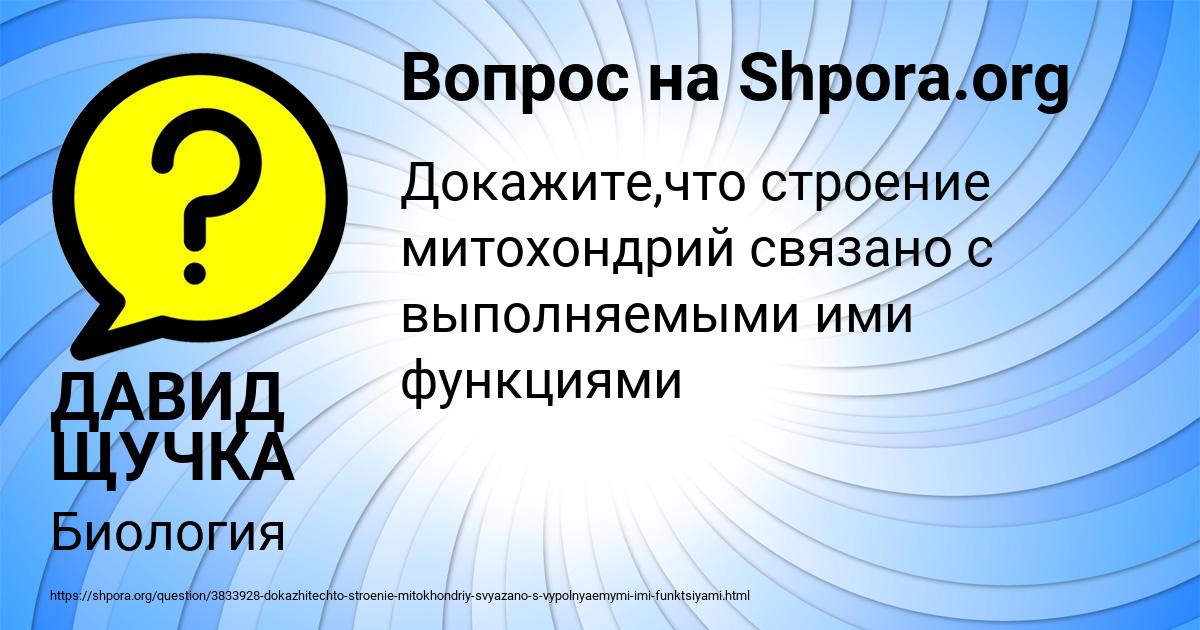 Картинка с текстом вопроса от пользователя ДАВИД ЩУЧКА