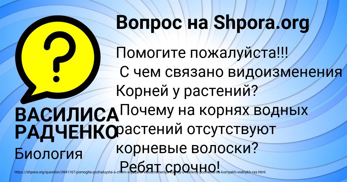 Картинка с текстом вопроса от пользователя ВАСИЛИСА РАДЧЕНКО