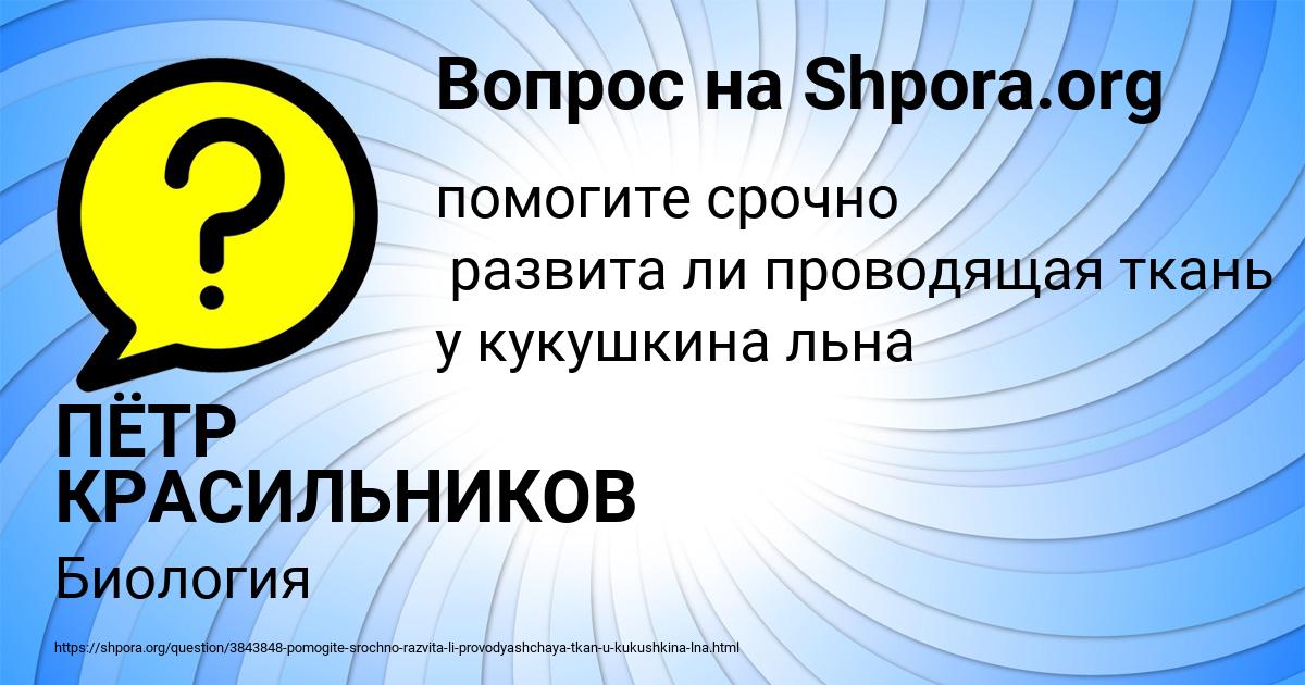 Картинка с текстом вопроса от пользователя ПЁТР КРАСИЛЬНИКОВ