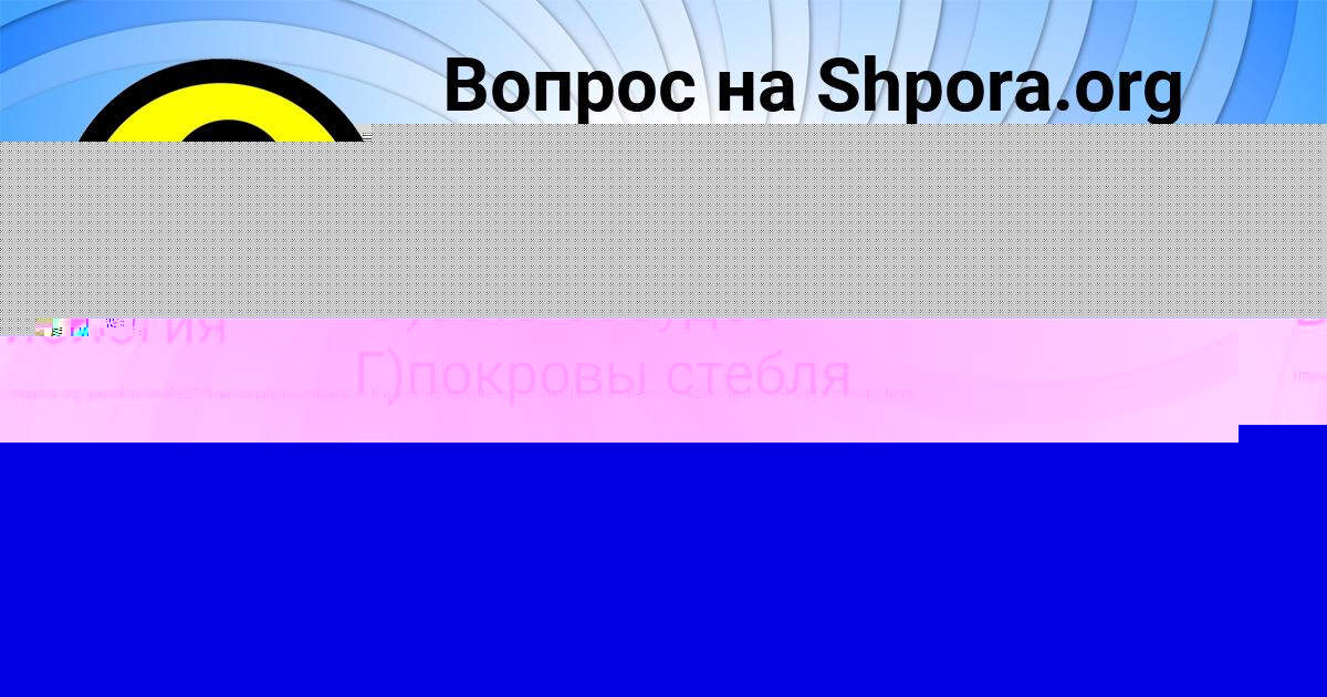 Картинка с текстом вопроса от пользователя Анатолий Власенко