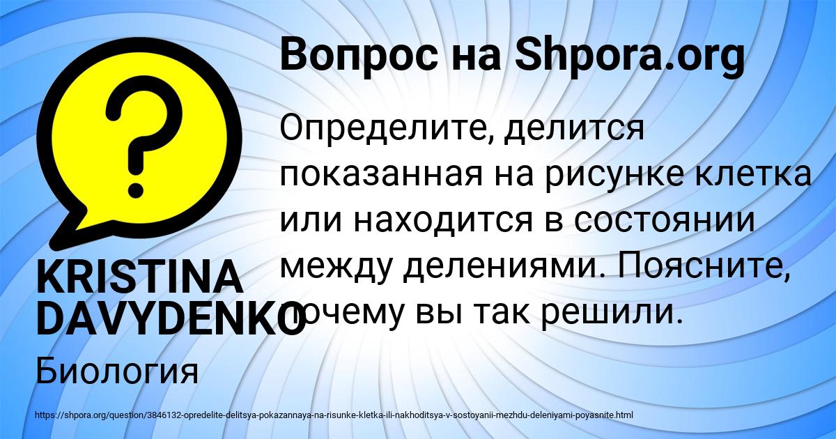 Картинка с текстом вопроса от пользователя KRISTINA DAVYDENKO