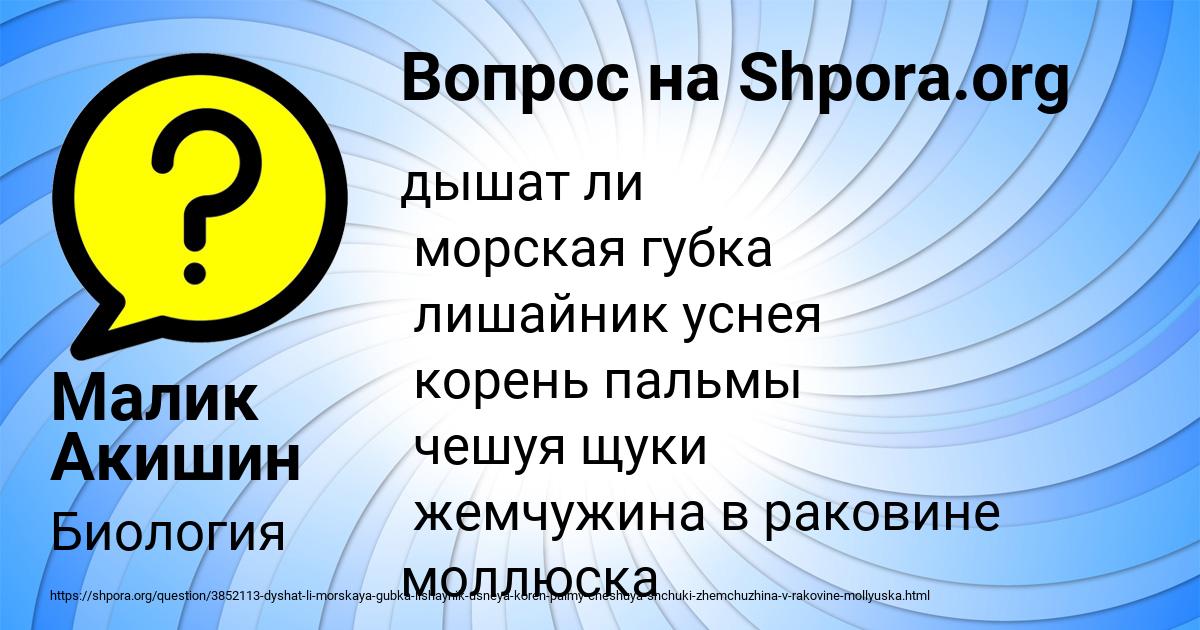 Картинка с текстом вопроса от пользователя Малик Акишин