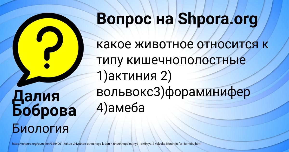 Картинка с текстом вопроса от пользователя Далия Боброва