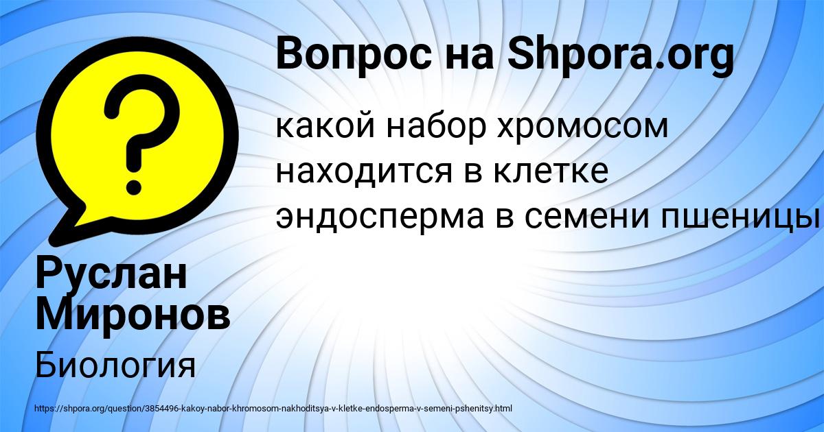 Картинка с текстом вопроса от пользователя Руслан Миронов