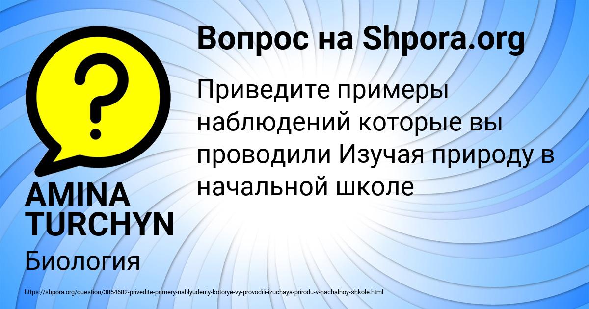 Картинка с текстом вопроса от пользователя AMINA TURCHYN