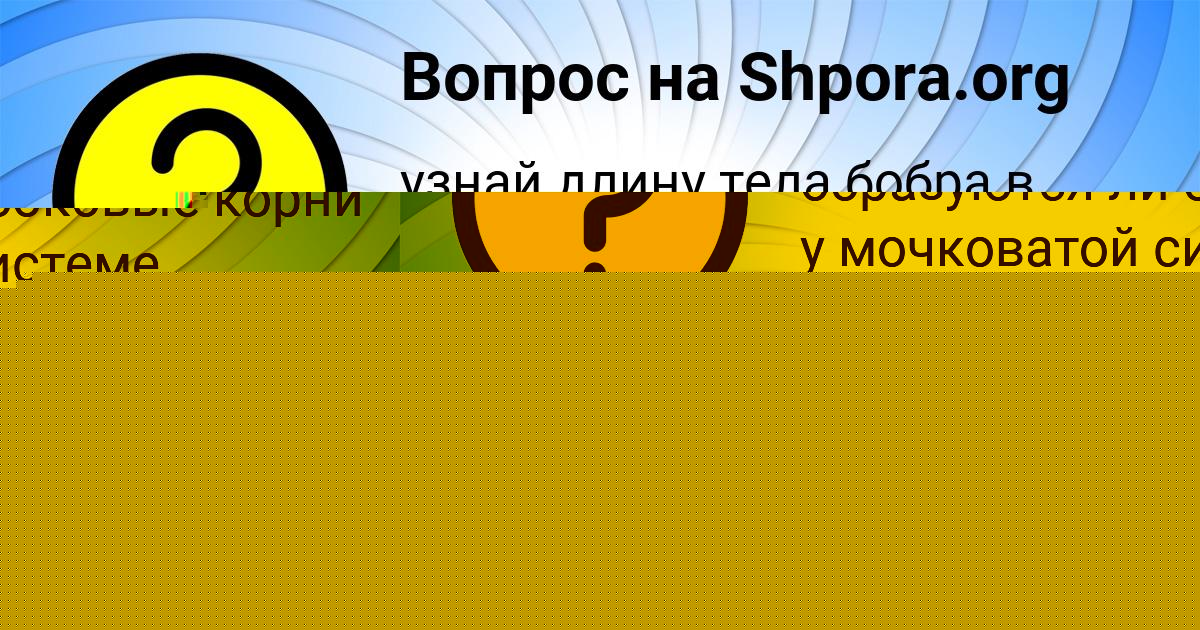 Картинка с текстом вопроса от пользователя ЕЛЕНА ВИЛ
