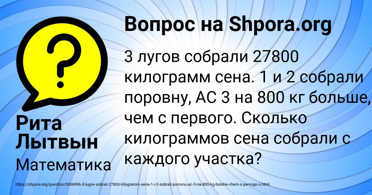 Картинка с текстом вопроса от пользователя Рита Лытвын