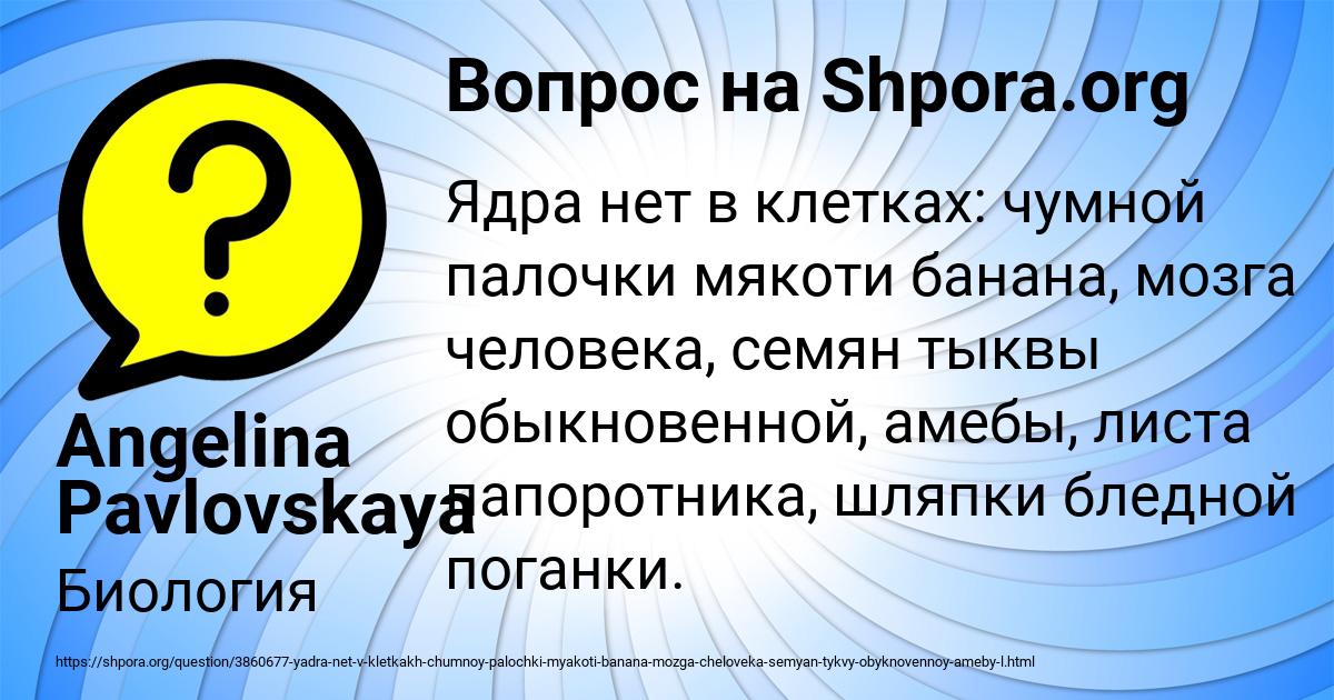 Картинка с текстом вопроса от пользователя Angelina Pavlovskaya