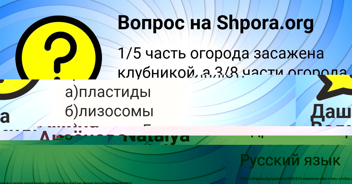 Картинка с текстом вопроса от пользователя Даша Ведмидь