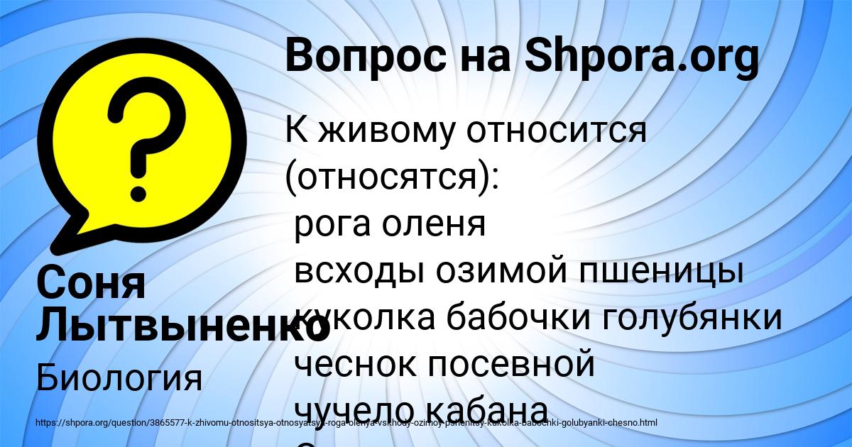 Картинка с текстом вопроса от пользователя Соня Лытвыненко