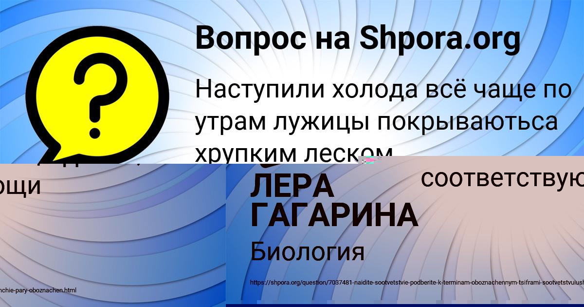 Картинка с текстом вопроса от пользователя Kuralay Paramonova
