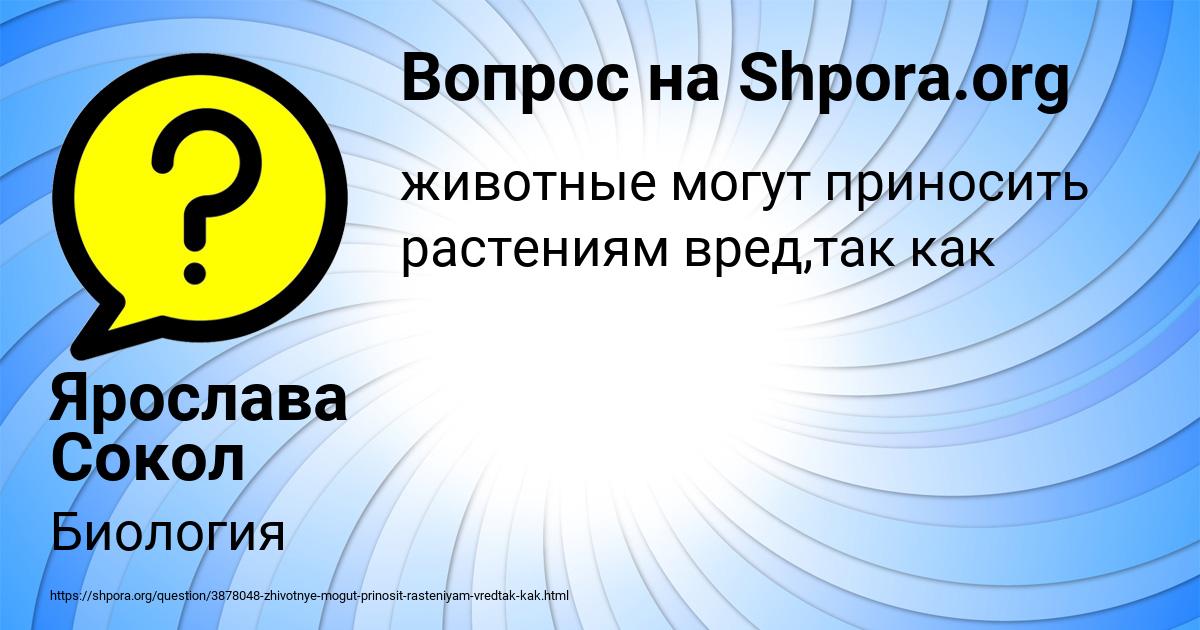 Картинка с текстом вопроса от пользователя Ярослава Сокол
