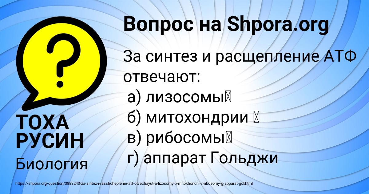 Картинка с текстом вопроса от пользователя ТОХА РУСИН