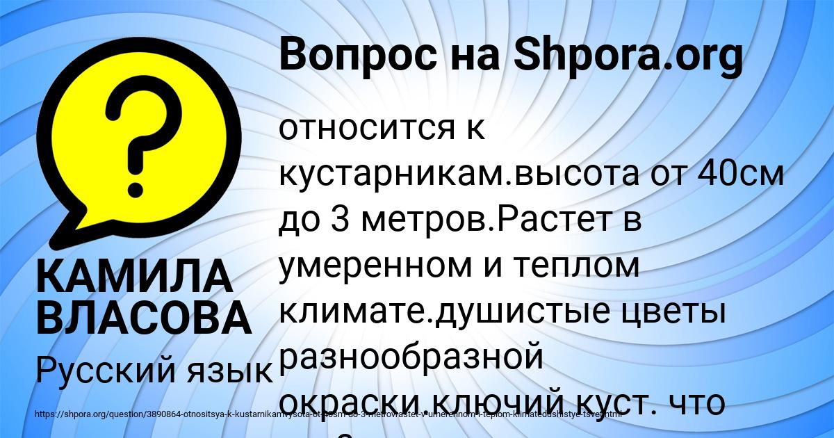 Картинка с текстом вопроса от пользователя КАМИЛА ВЛАСОВА