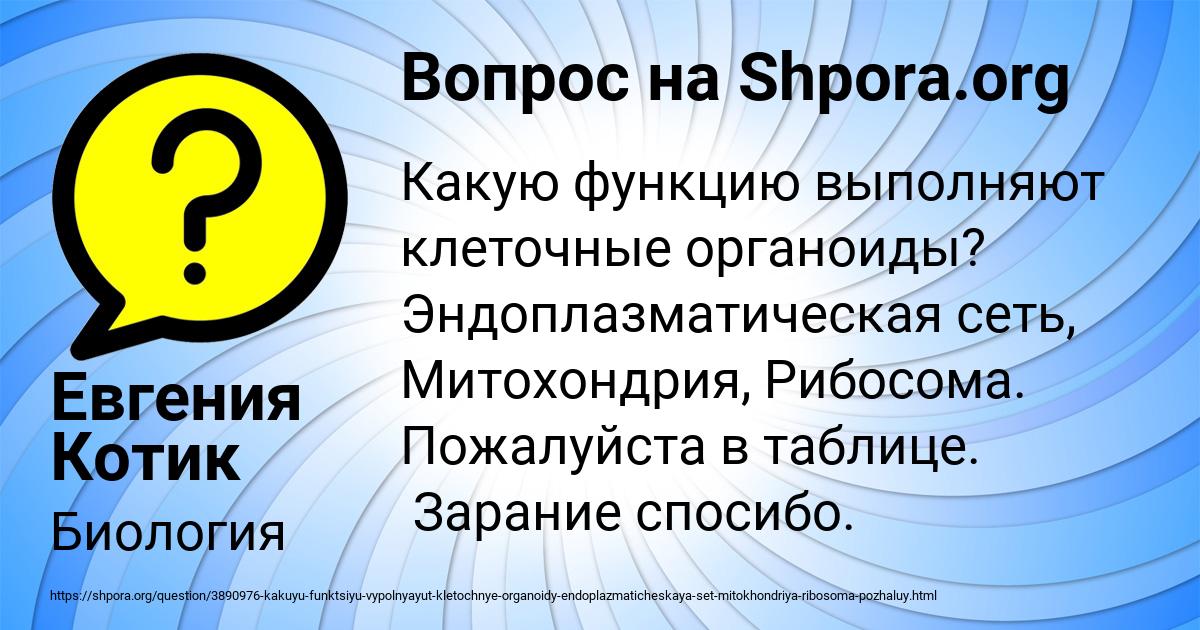 Картинка с текстом вопроса от пользователя Евгения Котик