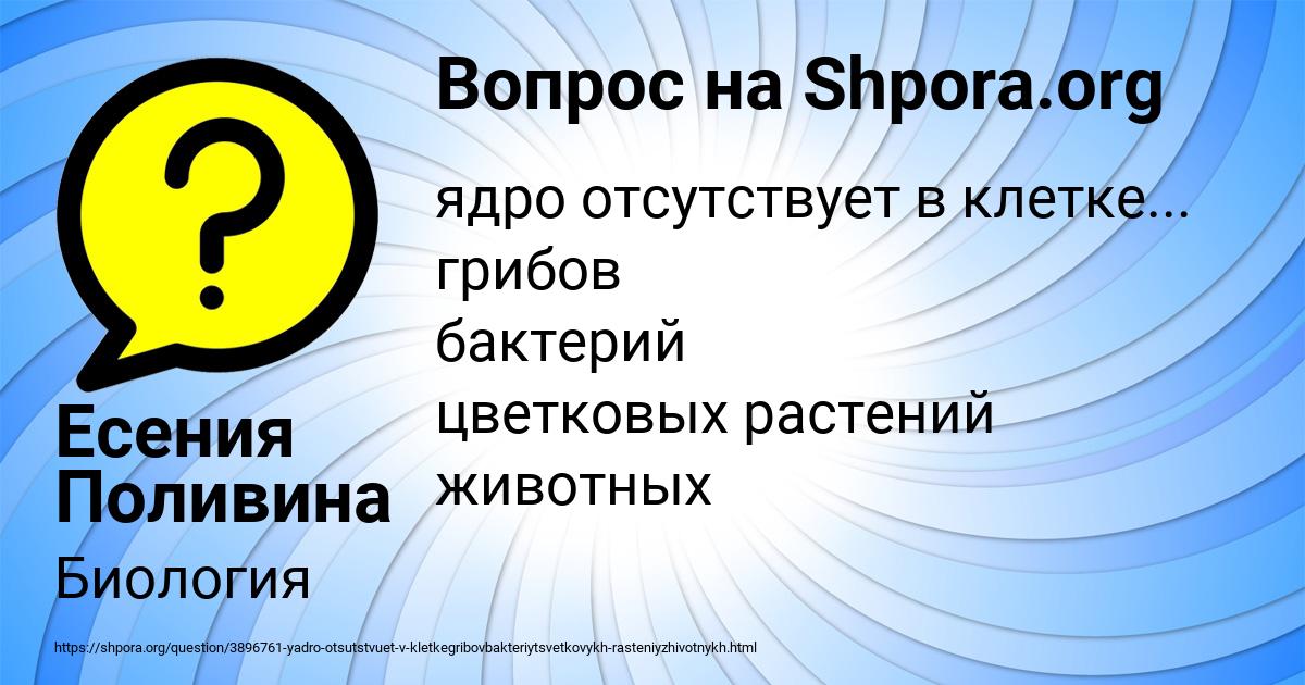 Картинка с текстом вопроса от пользователя Есения Поливина