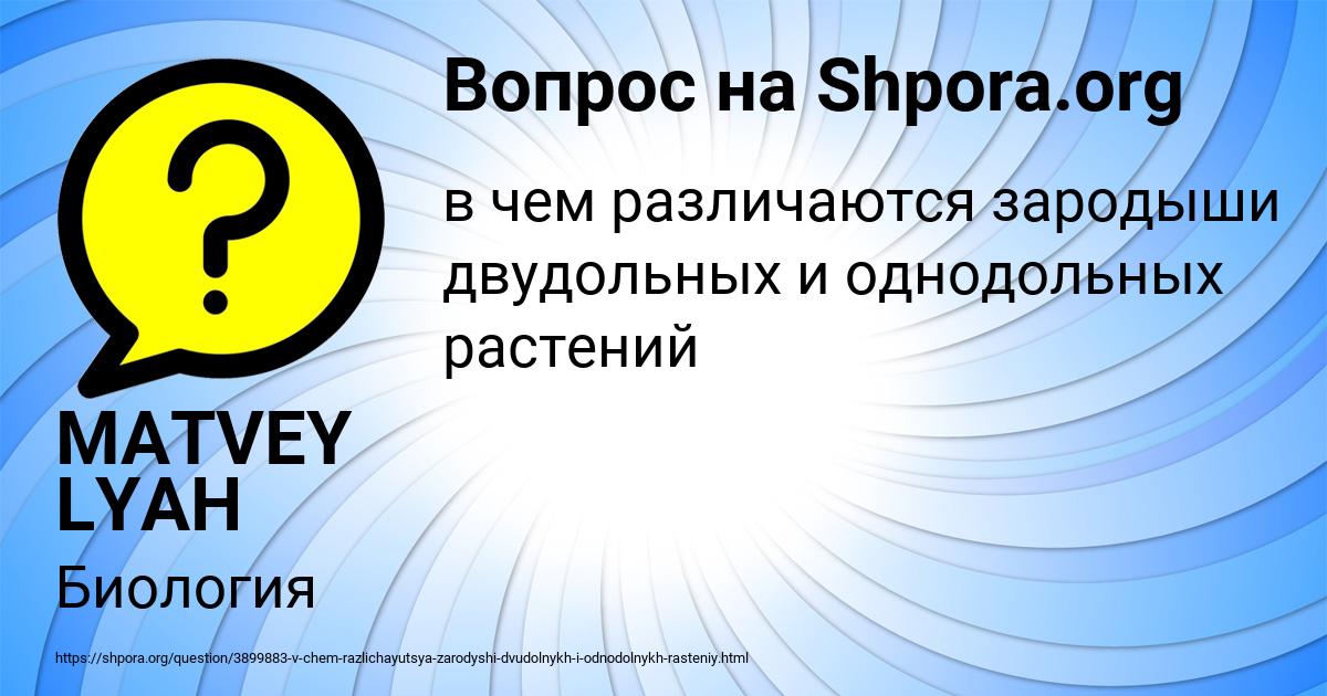 Картинка с текстом вопроса от пользователя MATVEY LYAH