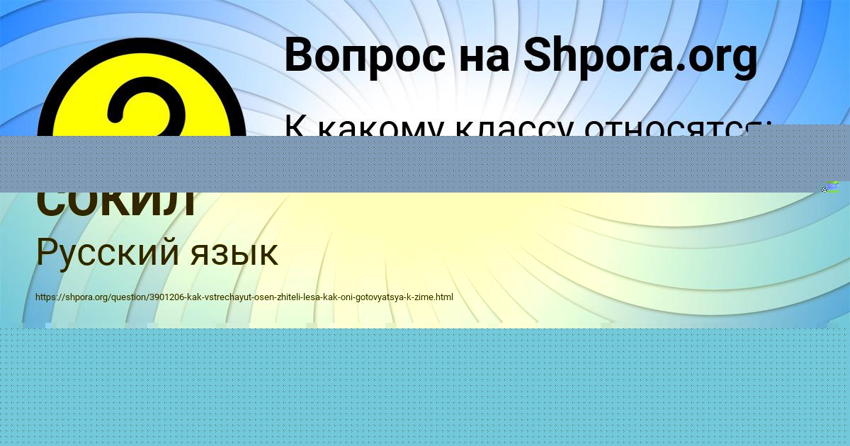 Картинка с текстом вопроса от пользователя АРСЕН СОКИЛ