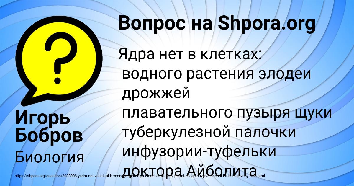 Картинка с текстом вопроса от пользователя Игорь Бобров