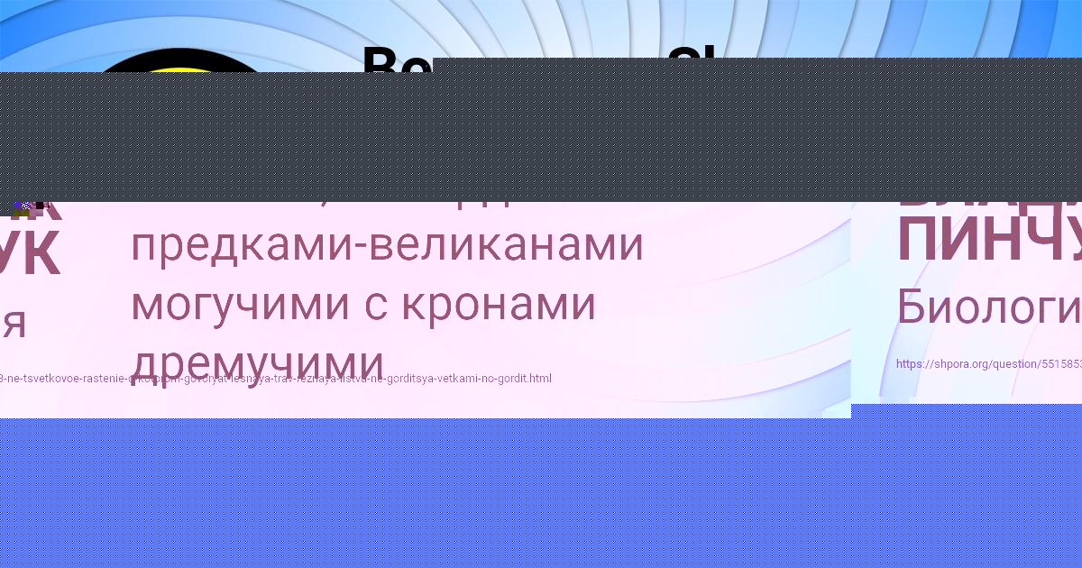 Картинка с текстом вопроса от пользователя Ануш Нестеренко