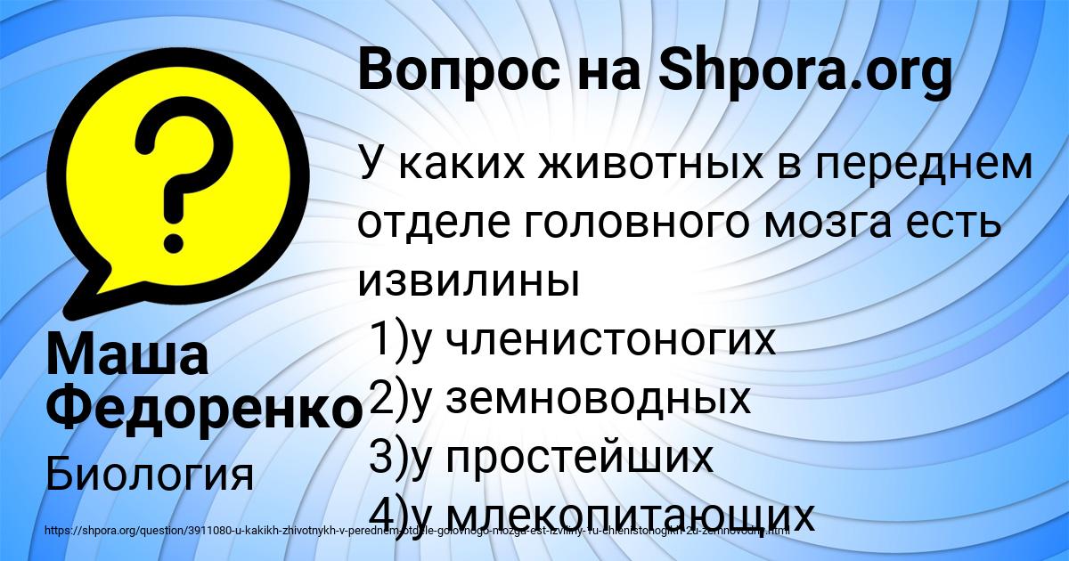 Картинка с текстом вопроса от пользователя Маша Федоренко