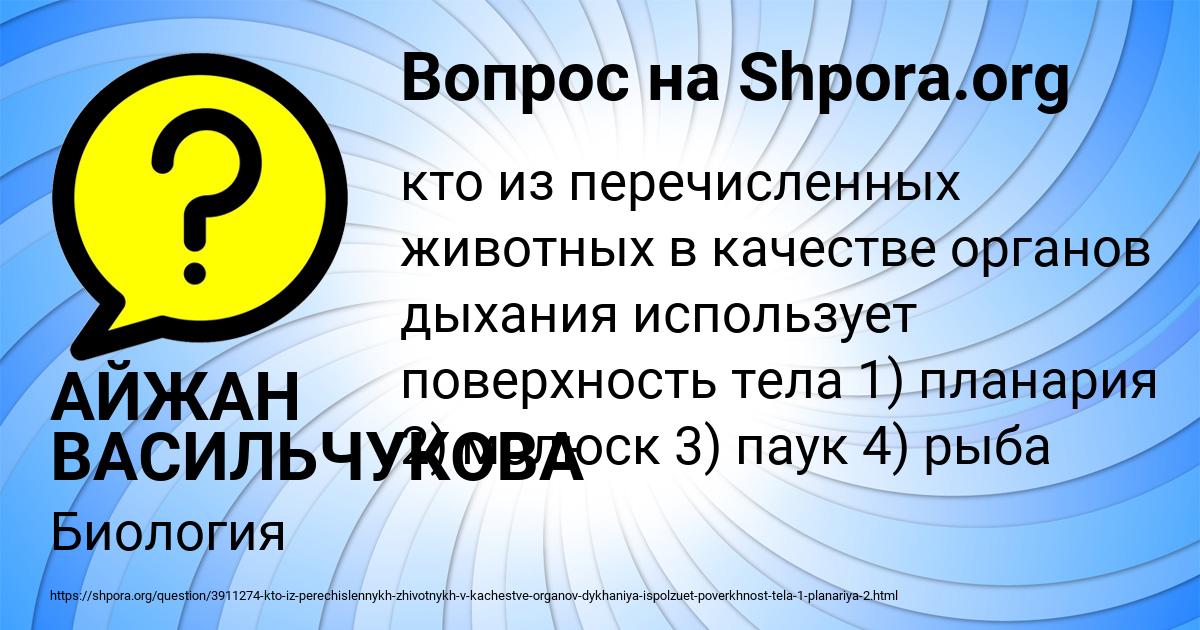 Картинка с текстом вопроса от пользователя АЙЖАН ВАСИЛЬЧУКОВА
