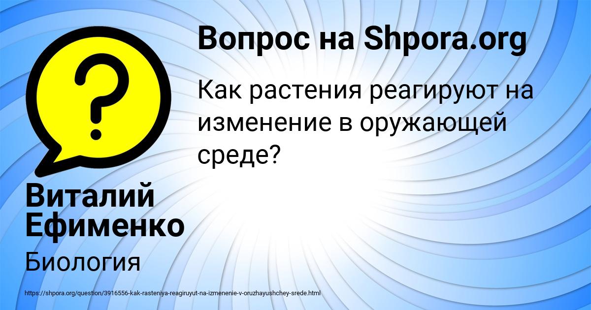 Картинка с текстом вопроса от пользователя Виталий Ефименко
