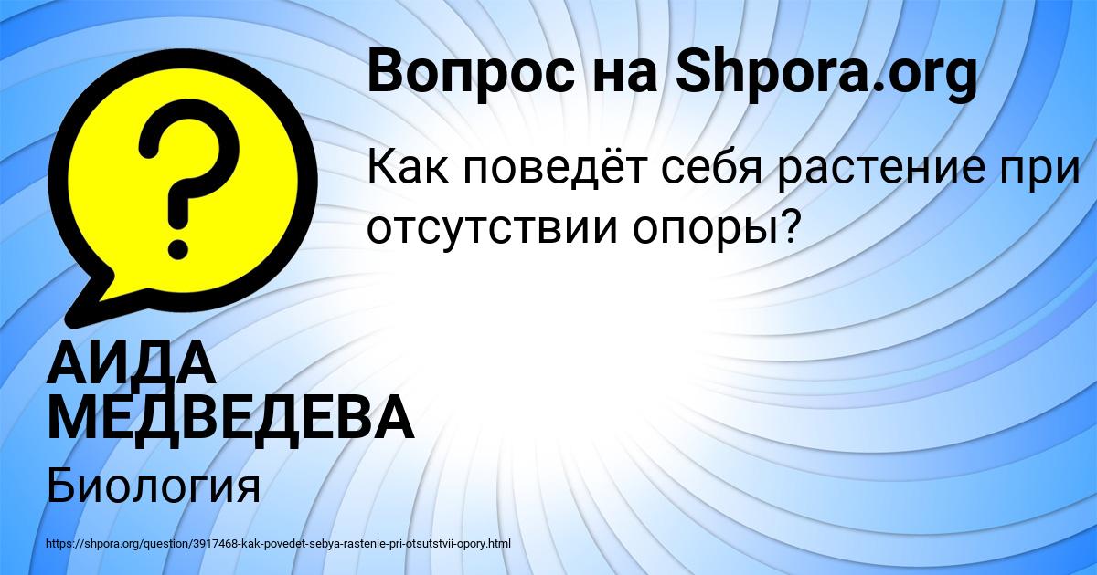 Картинка с текстом вопроса от пользователя АИДА МЕДВЕДЕВА