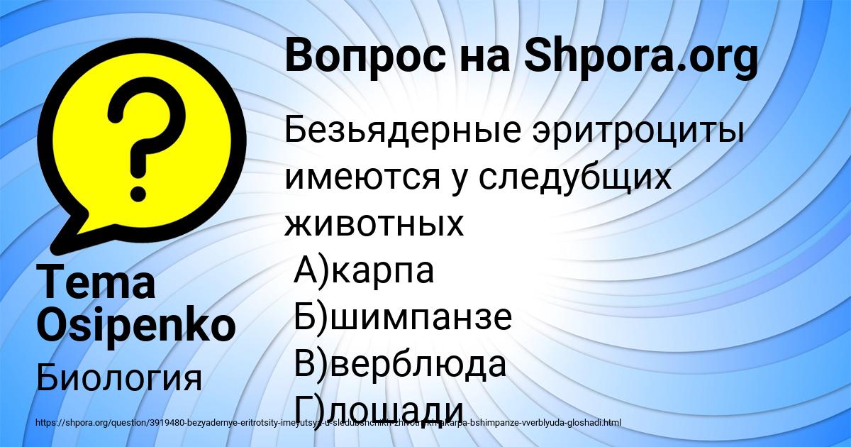 Картинка с текстом вопроса от пользователя Tema Osipenko