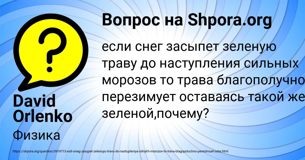 Картинка с текстом вопроса от пользователя David Orlenko