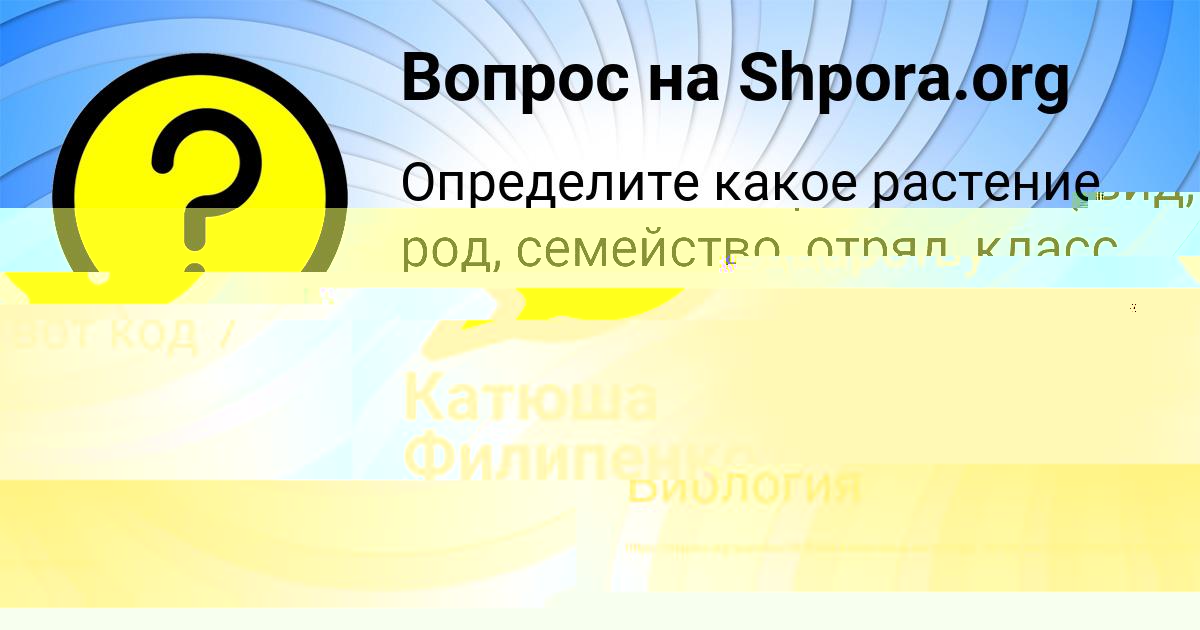 Картинка с текстом вопроса от пользователя Женя Кошкина
