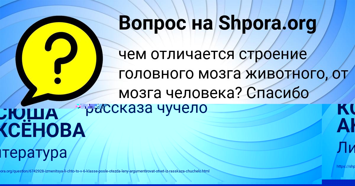 Картинка с текстом вопроса от пользователя Софья Ермоленко