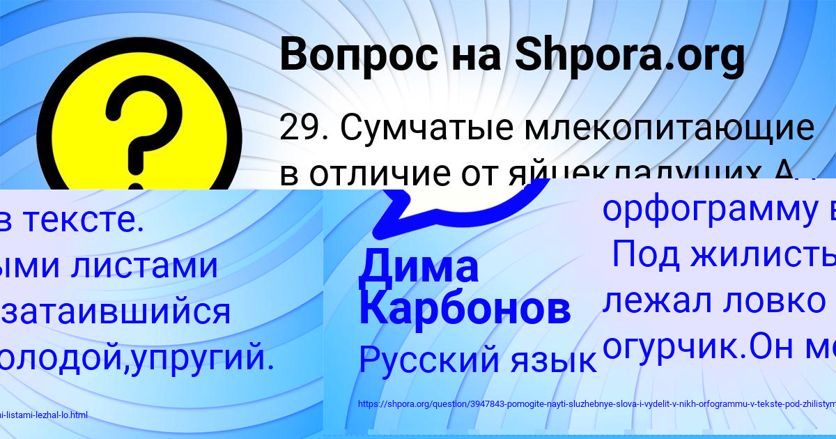 Картинка с текстом вопроса от пользователя Дима Карбонов