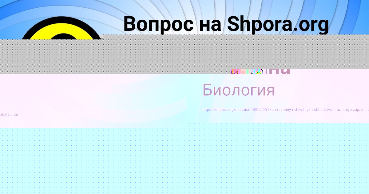 Картинка с текстом вопроса от пользователя Анастасия Бабура