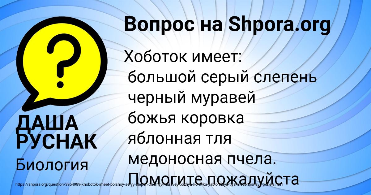Картинка с текстом вопроса от пользователя ДАША РУСНАК