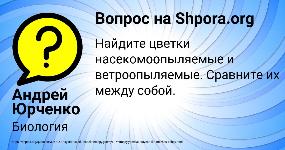 Картинка с текстом вопроса от пользователя Андрей Юрченко