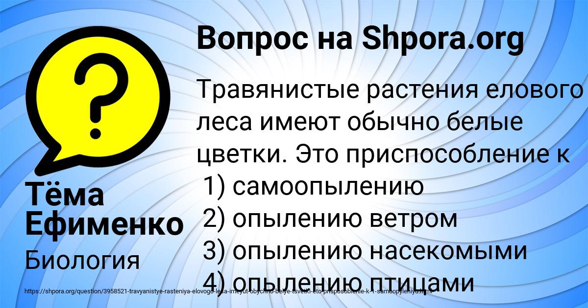 Картинка с текстом вопроса от пользователя Тёма Ефименко