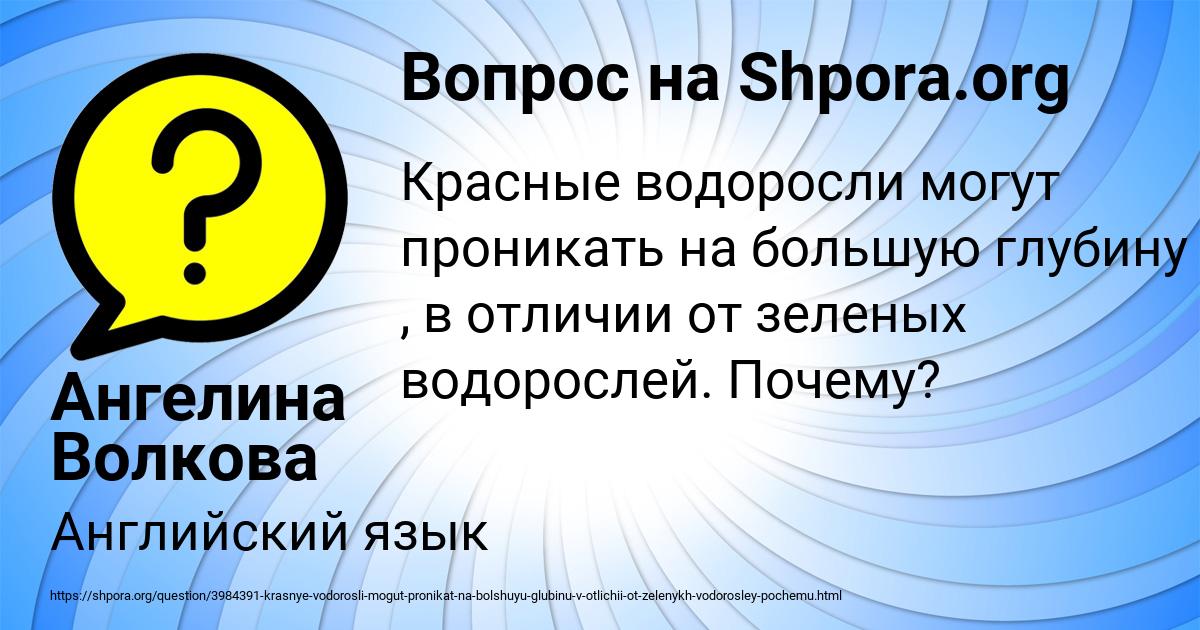 Картинка с текстом вопроса от пользователя Ангелина Волкова