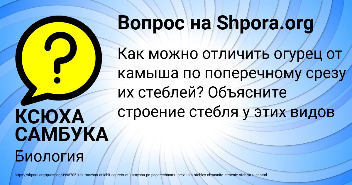 Картинка с текстом вопроса от пользователя КСЮХА САМБУКА