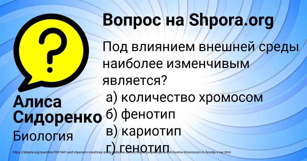 Картинка с текстом вопроса от пользователя Алиса Сидоренко