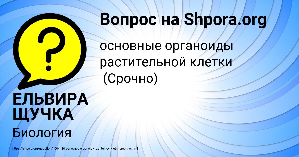 Картинка с текстом вопроса от пользователя ЕЛЬВИРА ЩУЧКА