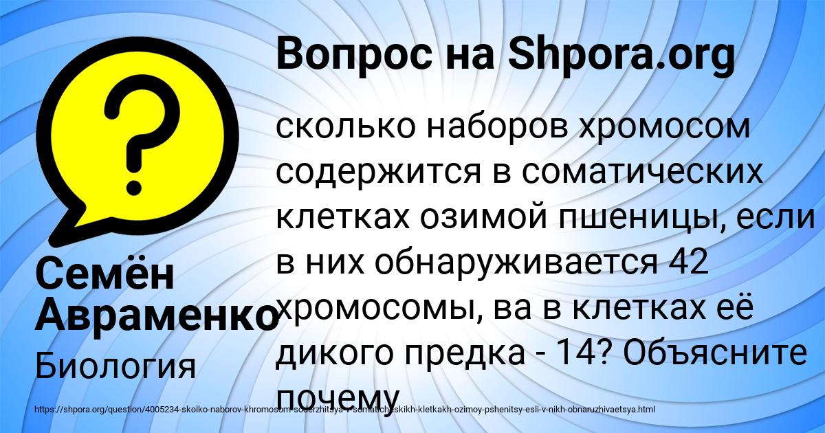 Картинка с текстом вопроса от пользователя Семён Авраменко