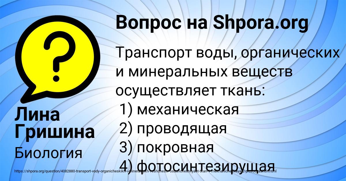 Картинка с текстом вопроса от пользователя Лина Гришина